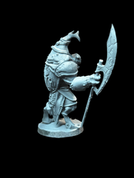 Beetle Warrior (ONLINE ORDER ONLY)