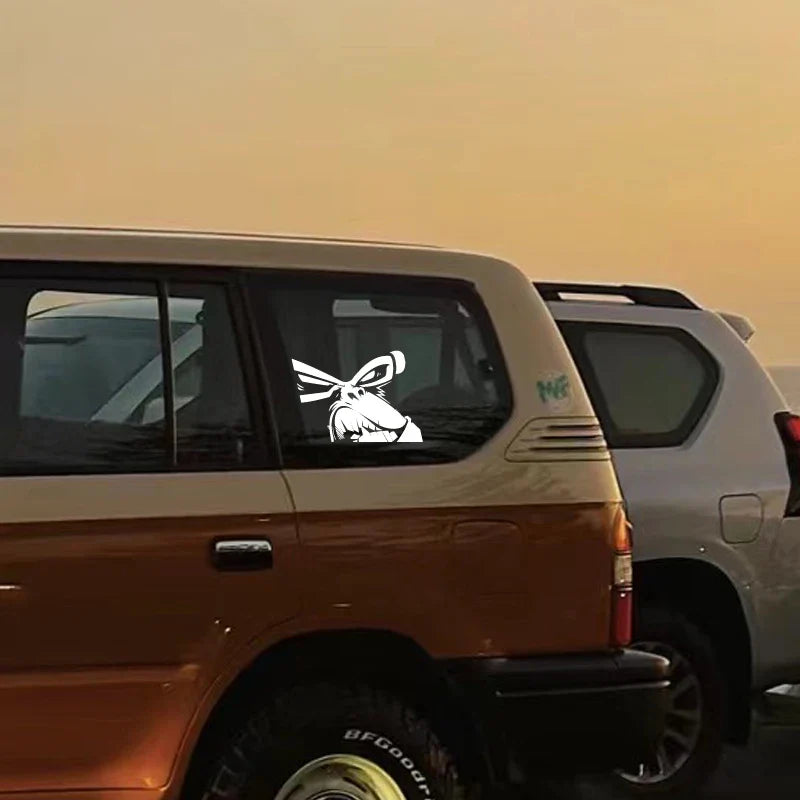 Ape face cartoon sticker,car stickers - For Cars, Trucks, Walls, Laptops, Windows, Motorcycles, Bumpers Or Crafts (ONLINE ORDER ONLY)