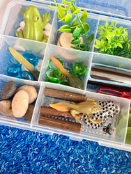 Pond Life Cycle Sensory Kit And Water Play (ONLINE ORDER ONLY)