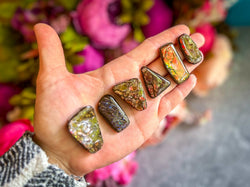 Ethically Sourced Ammolite From Canada (ONLINE ORDER ONLY)