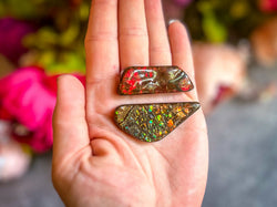 Ethically Sourced Ammolite From Canada (ONLINE ORDER ONLY)