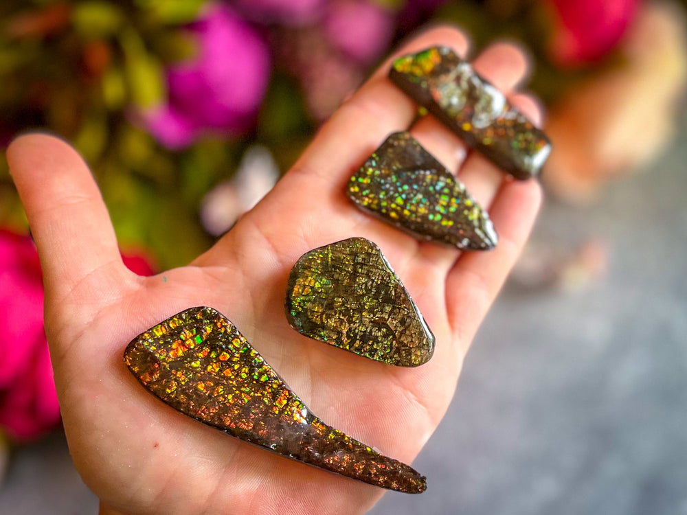 Ethically Sourced Ammolite From Canada (ONLINE ORDER ONLY)