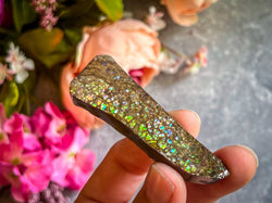 Ethically Sourced Ammolite From Canada (ONLINE ORDER ONLY)