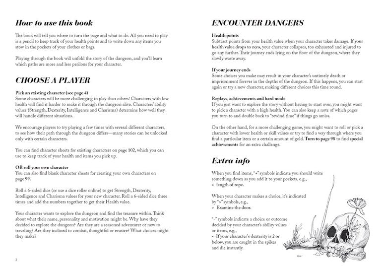 Into the Dungeon: A Choose-Your-Own-Path Book (ONLINE ORDER ONLY)
