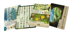 Forest Shuffle: Exploration (ONLINE ORDER ONLY)