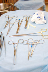 Large Surgical Scissors - 6.5" (ONLINE ORDER ONLY)
