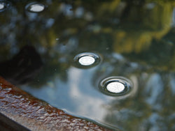 Floating Coins - 3/pk (ONLINE ORDER ONLY)
