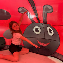 The Original AirFort - Ladybug (ONLINE ORDER ONLY)