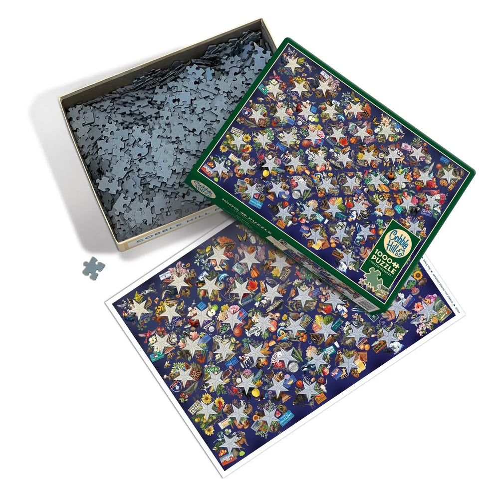 All Stars 1000 Piece Jigsaw Puzzle Cobble Hill