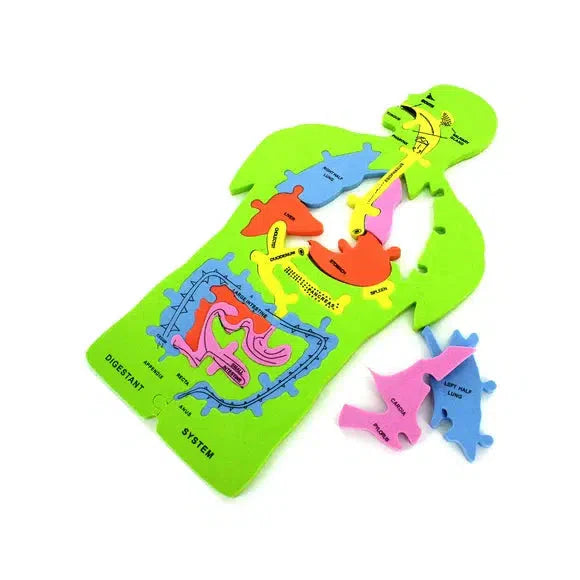 Anatomy 11 Piece Foam Puzzle (ONLINE ORDER ONLY)