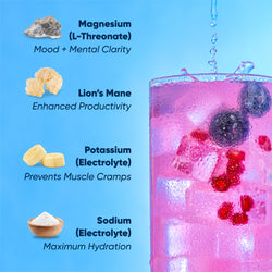 Blueberry Pomegranate (20 Sticks) (ONLINE ORDER ONLY)