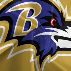 Baltimore Ravens Bedding Set Duvet Cover Without Filler (Online Order Only)
