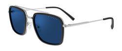 Barron (ONLINE ORDER ONLY)