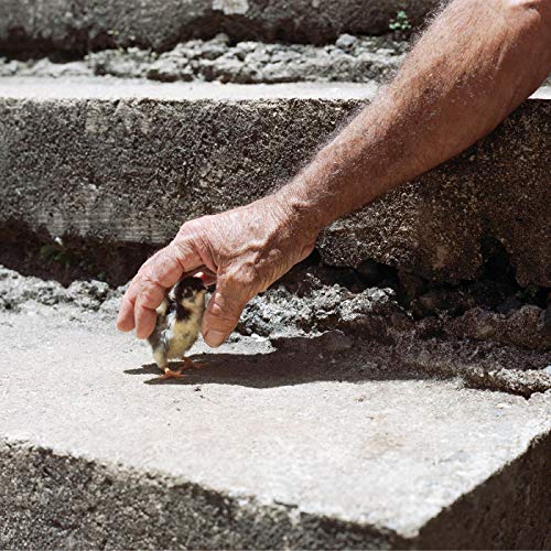 Mythological Beauty ("CONCRETE" GRAY VINYL) [Vinyl] (ONLINE ORDER ONLY)