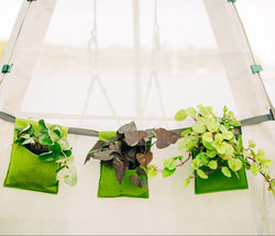 Bijou Bloom Hanging Planters (ONLINE ORDER ONLY)