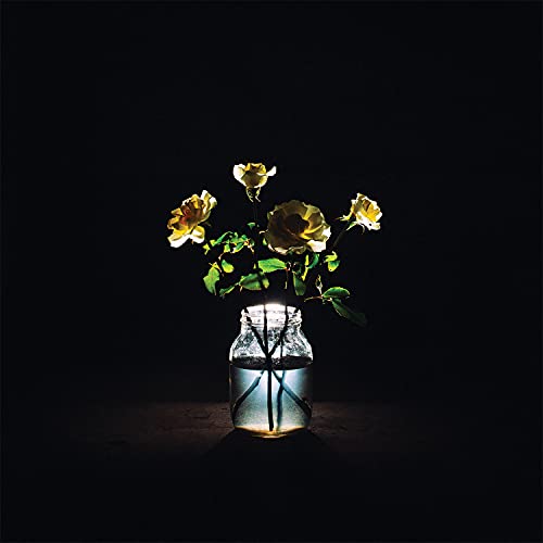 Billy Strings - Renewal [2 LP] [Vinyl] (ONLINE ORDER ONLY)