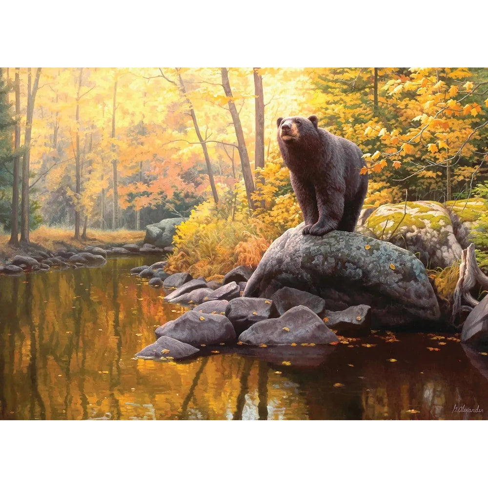 Black Bear Pond 1000 Piece Jigsaw Puzzle Cobble Hill (ONLINE ORDER ONLY)