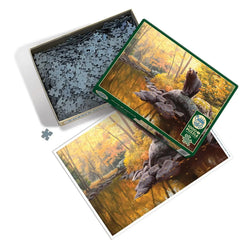 Black Bear Pond 1000 Piece Jigsaw Puzzle Cobble Hill (ONLINE ORDER ONLY)