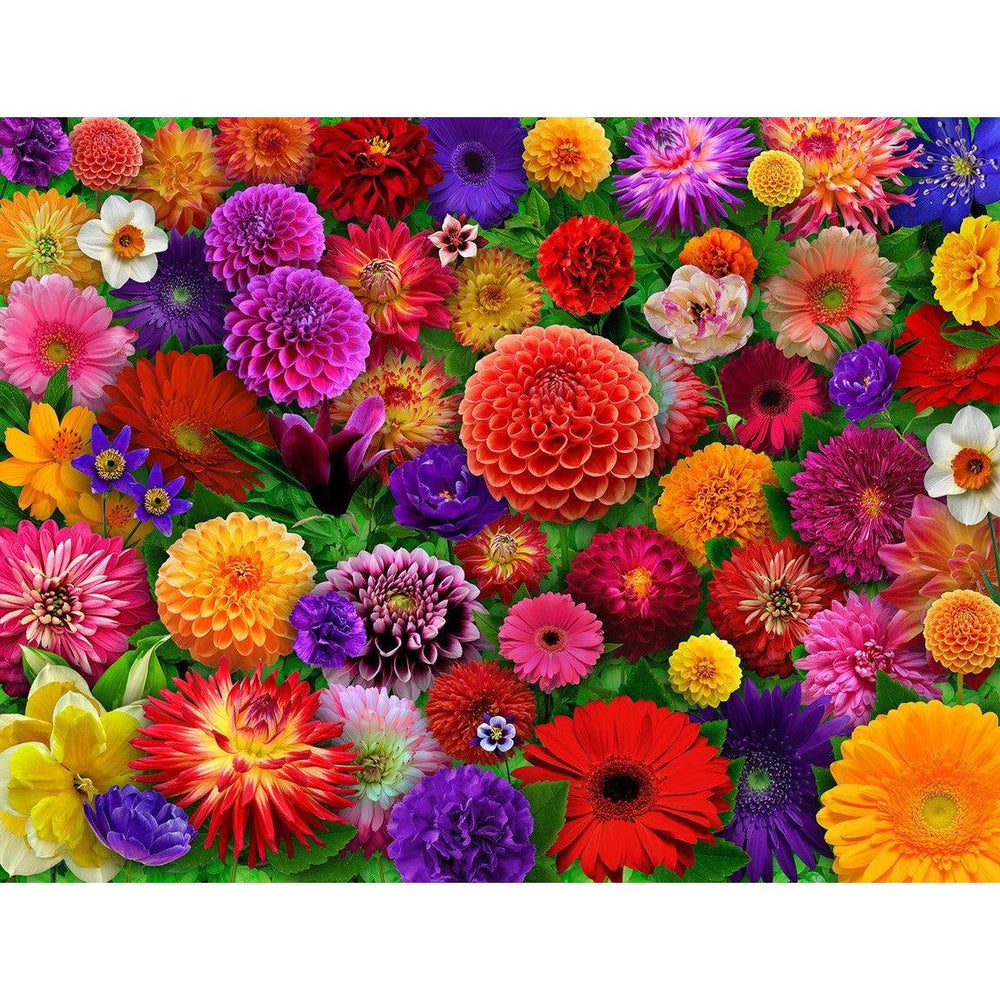 Blooming Every Daisy 500 Piece Jigsaw Puzzle Springbok (ONLINE ORDER ONLY)
