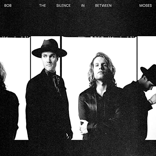 The Silence In Between [LP] [Vinyl] (ONLINE ORDER ONLY)