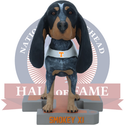 Smokey XI Tennessee Volunteers Live Dog Bobblehead (ONLINE ORDER ONLY)