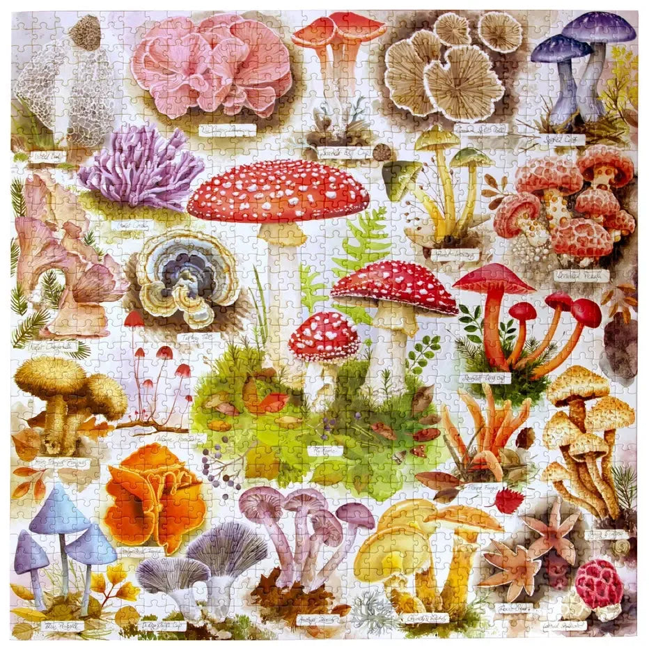Bountiful Mushrooms 1000 Piece Jigsaw Puzzle eeBoo (ONLINE ORDER ONLY)