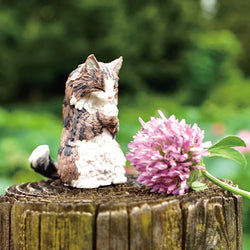 WISHING CATS BLIND BOX (1 Blind Box) (ONLINE ORDER ONLY)