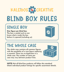 Kaleidos Creative: Box Turtle & Bird Blind Box (ONLINE ORDER ONLY)