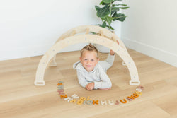 Alphabet Magnet Play Set (ONLINE ORDER ONLY)