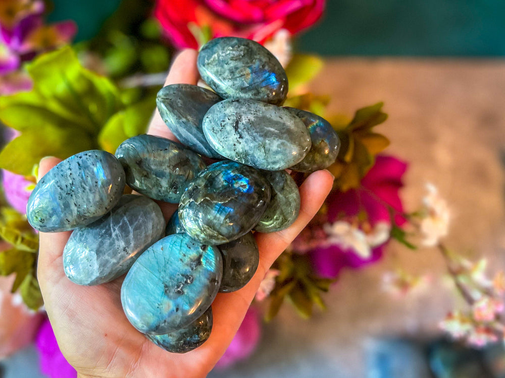 Bulk BLUE Labradorite PalmStone, 1 Lb Bulk Labradorite Crystal Palms (ONLINE ORDER ONLY)