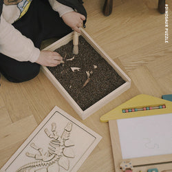 Dinosaur Fossil (ONLINE ORDER ONLY)