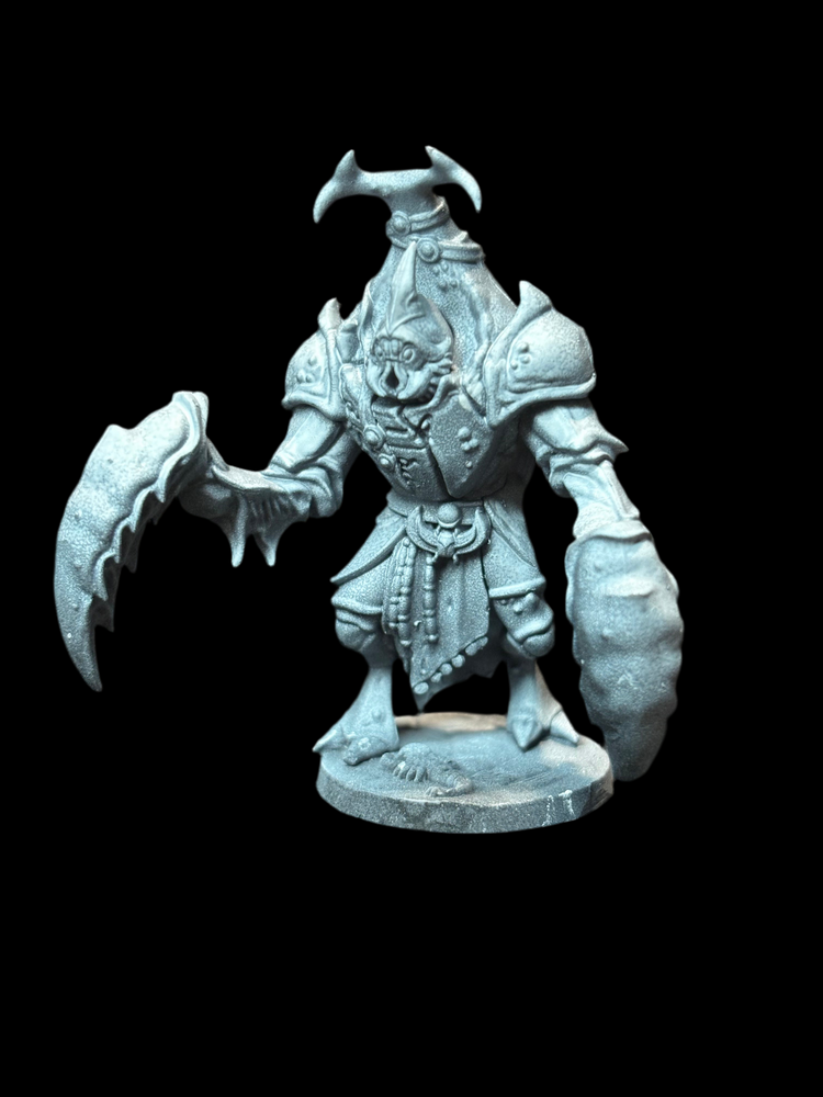 Beetle Warrior (ONLINE ORDER ONLY)
