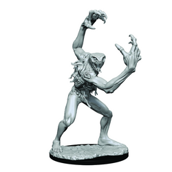 Critical Role: Aeorian Nullifier (ONLINE ORDER ONLY)