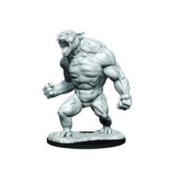 Critical Role: Aeorian Reverser (ONLINE ORDER ONLY)