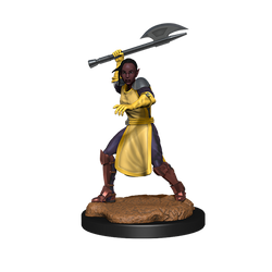 Critical Role: Half-Elf Echo Knight and Echo Female (ONLINE ORDER ONLY)