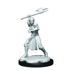 Critical Role: Half-Elf Echo Knight and Echo Female (ONLINE ORDER ONLY)