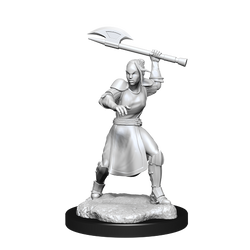 Critical Role: Half-Elf Echo Knight and Echo Female (ONLINE ORDER ONLY)