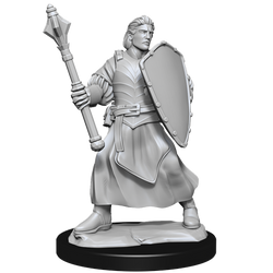 Critical Role: Human Clovis Concord Cleric Male (ONLINE ORDER ONLY)