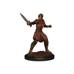 Critical Role: Human Dwendalian Empire Fighter Female (ONLINE ORDER ONLY)