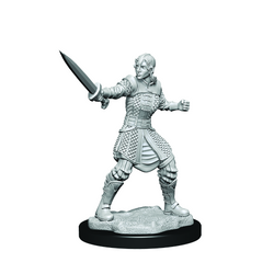 Critical Role: Human Dwendalian Empire Fighter Female (ONLINE ORDER ONLY)