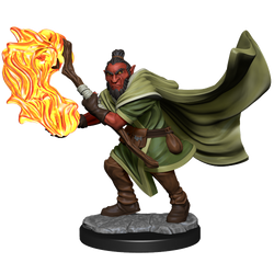 Critical Role: Hobgoblin Wizard and Druid Male (ONLINE ORDER ONLY)