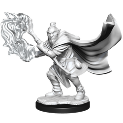 Critical Role: Hobgoblin Wizard and Druid Male (ONLINE ORDER ONLY)