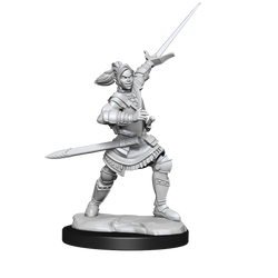Critical Role: Half-Elf Paladin Xhorhas Female (ONLINE ORDER ONLY)