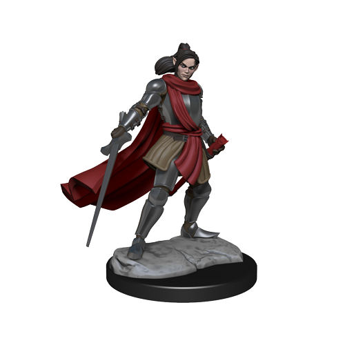 Critical Role: Half-Elf Paladin Xhorhas Female (ONLINE ORDER ONLY)