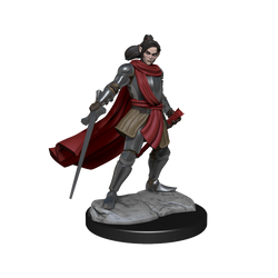 Critical Role: Half-Elf Paladin Xhorhas Female (ONLINE ORDER ONLY)
