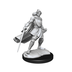Critical Role: Half-Elf Paladin Xhorhas Female (ONLINE ORDER ONLY)
