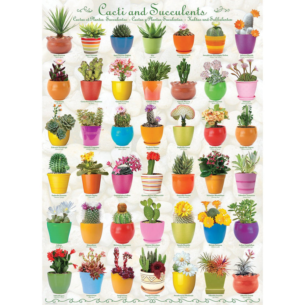 Cacti & Succulents 1000 Piece Jigsaw Puzzle Eurographics (ONLINE ORDER ONLY)