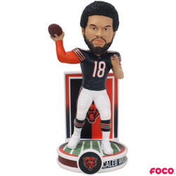 Banner Series Bobbleheads (ONLINE ORDER ONLY)