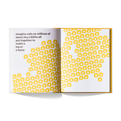 A Kids Book About Cancer (ONLINE ORDER ONLY)