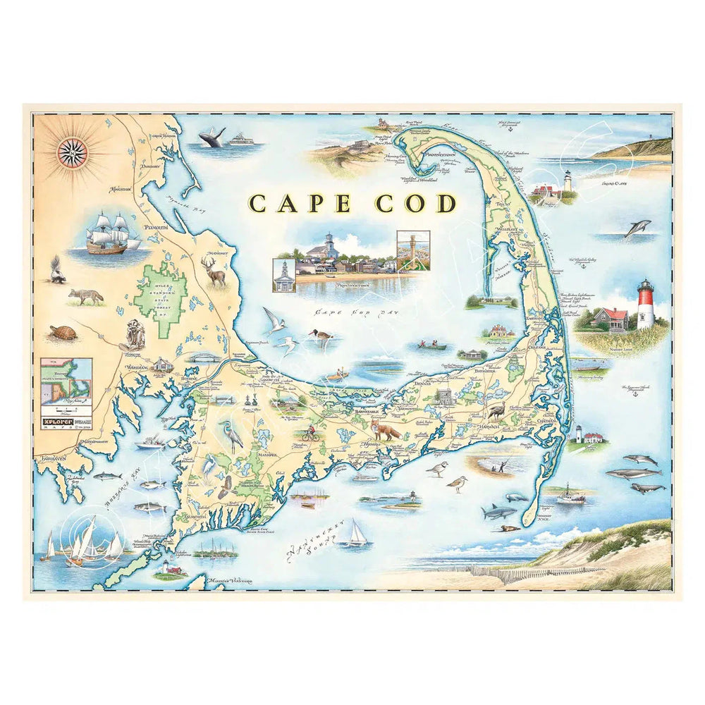 Cape Cod 1000 Piece Jigsaw Puzzle Xplorer Maps (ONLINE ORDER ONLY)